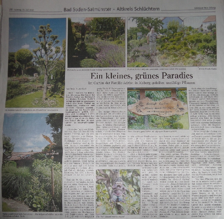 Zeitungsartikel