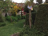 Blick auf Nubaum
