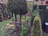 Formgehlze und Ginkobaum