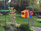 Judasbaum vorm Kinderspielplatz