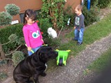 Kinder mit Hund und Katz